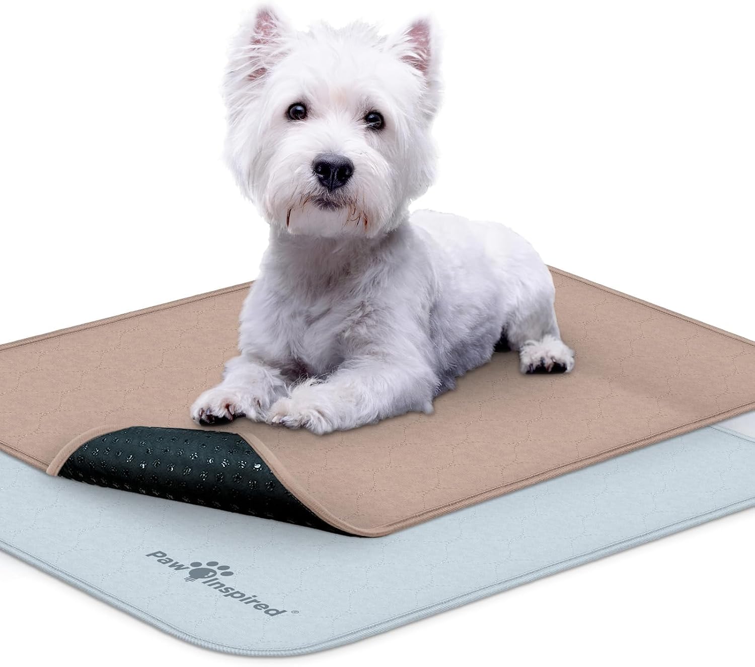Paw Inspired Washable Crate Liners for Dogs, 24x18 Inch, 2 Pack