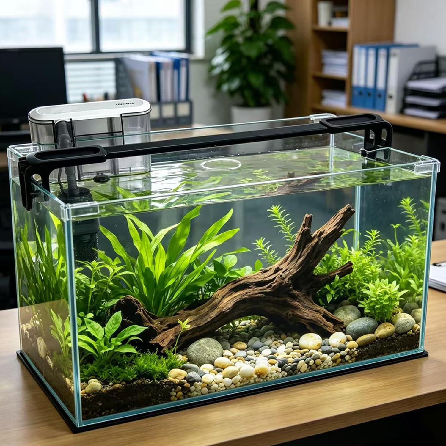 Vimvins 10 Gallon Glass Fish Tank, Easy to Maintain Small Aquarium for Betta/Shrimp and Aquatic Planting.