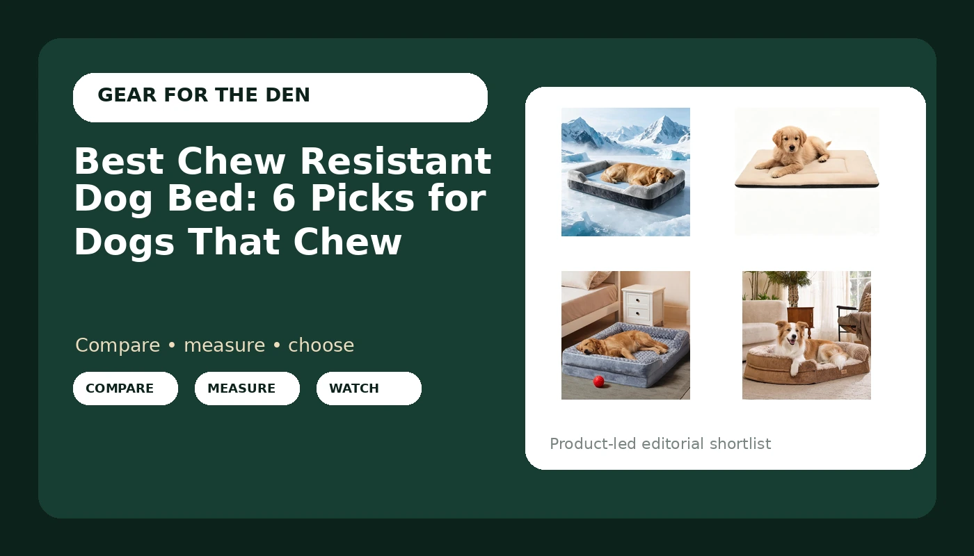 Best Chew Resistant Dog Bed: 6 Picks for Dogs That Chew