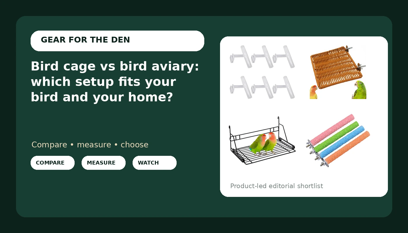 Bird cage vs bird aviary: which setup fits your bird and your home?
